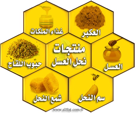 دبلوم العلاج بمنتجات النحل